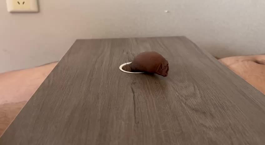 棉袜 lo鞋 小皮鞋 隔板 踩踏 鞋交 没射