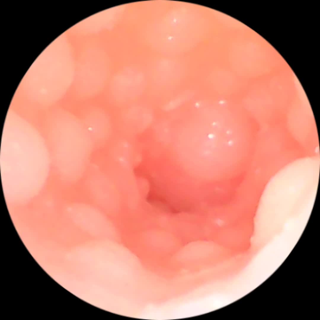 SA工坊！致力于制造最棒的杯子！