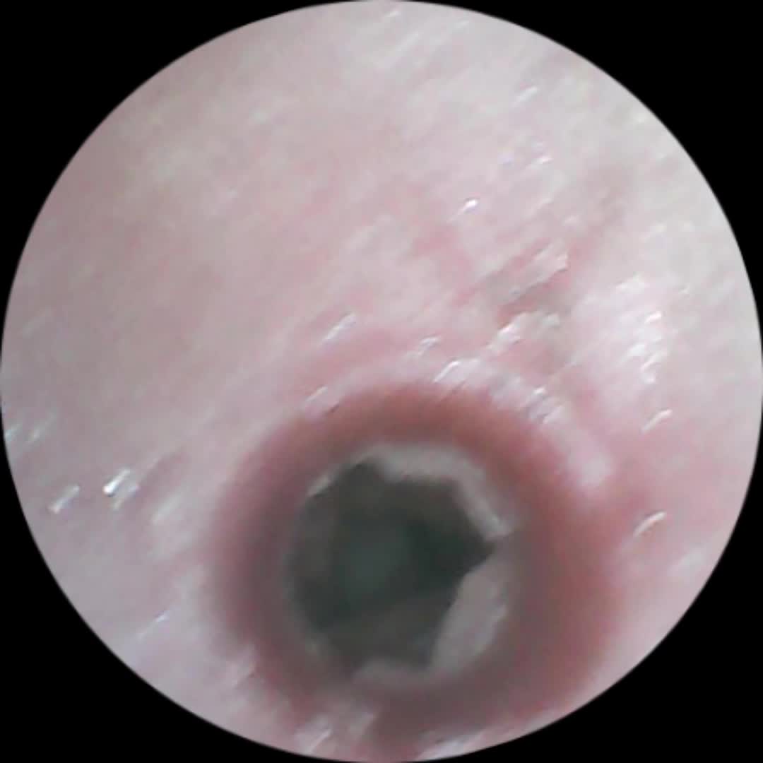 SA工坊新品上架！Saki酱巨峰系列。真实肌肤 仿真内道纹理设计 ！四内道玩法！