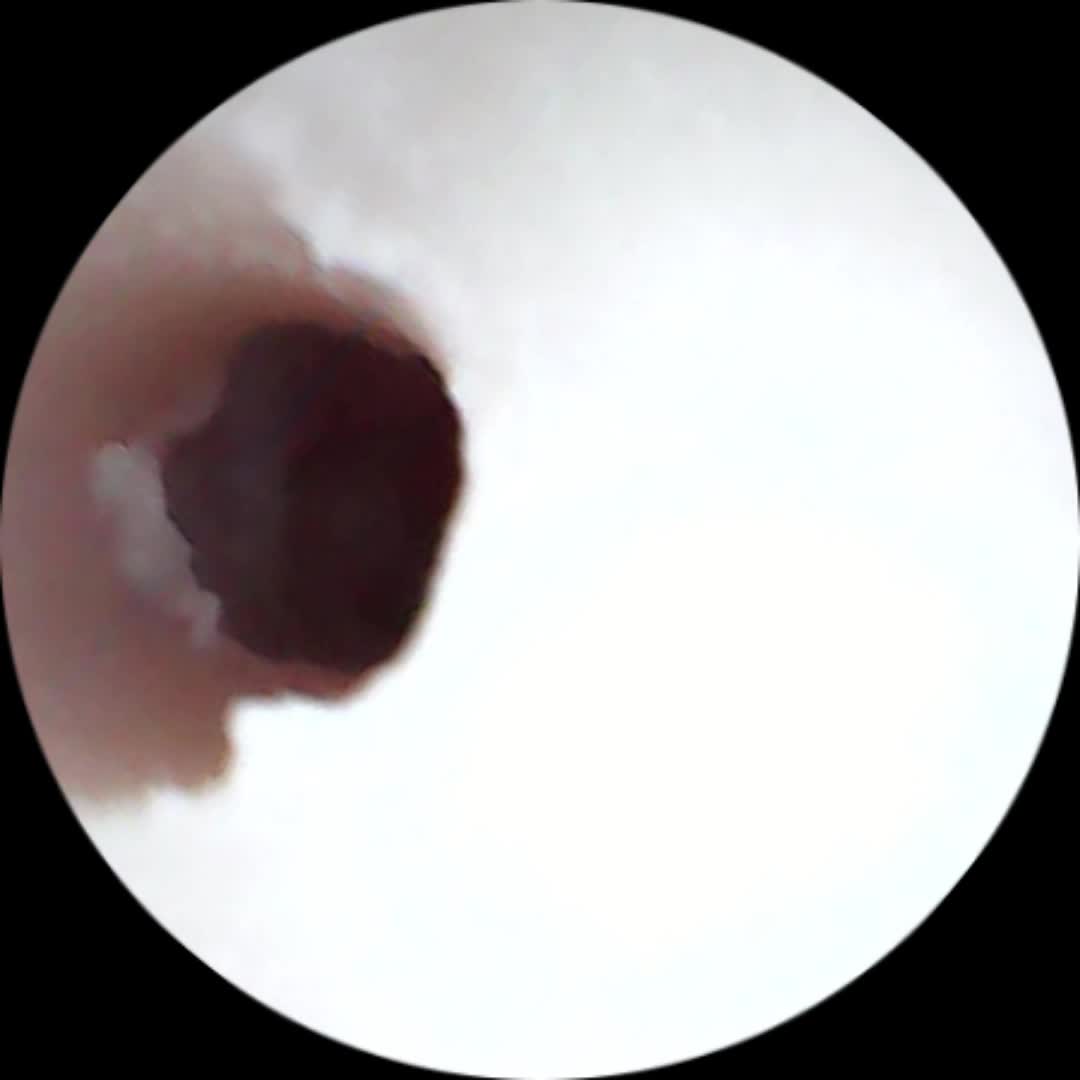 SA工坊开年啦！新年第一款推荐超强吮吸款！自动吞吐，超强马力的茶茶丸！（小穴颜色可以找客服定制！粉嫩/深色）