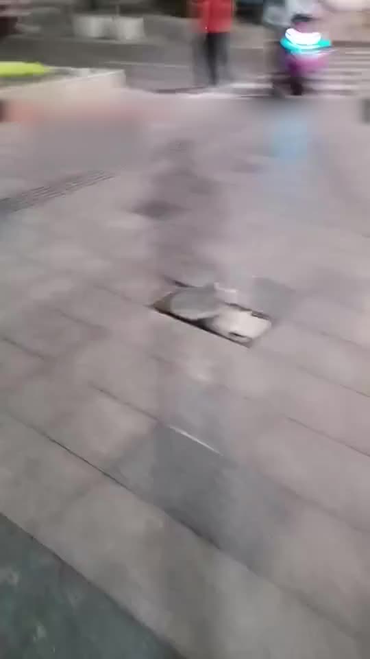 街头搭讪两名高颜值小姐姐舔脚下跪