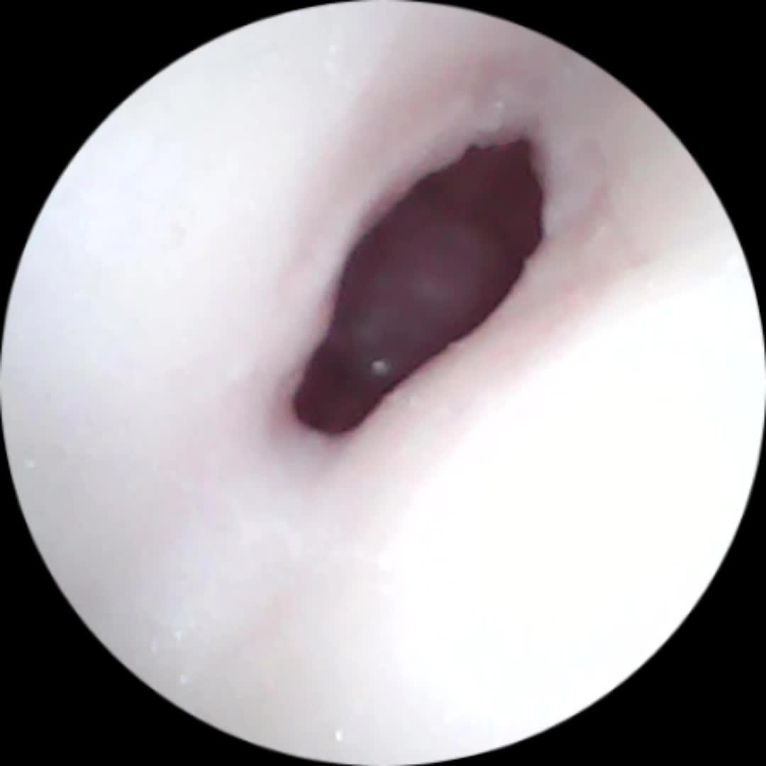 SA工坊新品和老品优惠来啦！