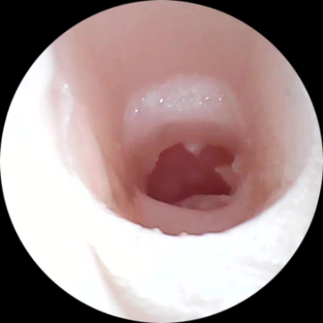 SA工坊 时田雨夜