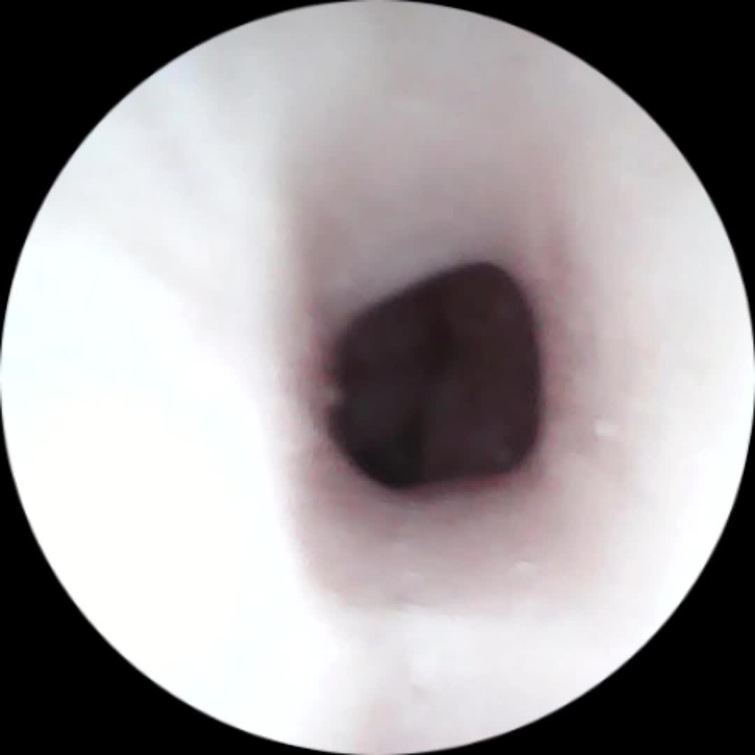 SA工坊环绕螺旋吮吸形内道初本真绘开启预售！